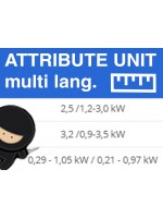 Attribute Custom Multilanguage Units