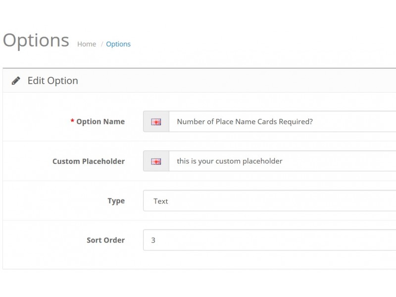 Custom Options Placeholder