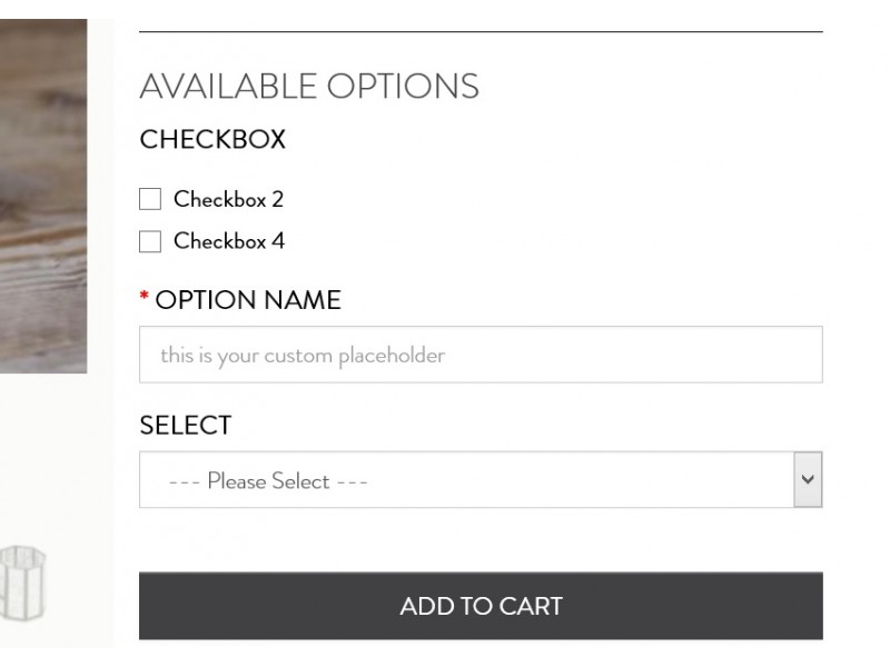 Custom Options Placeholder